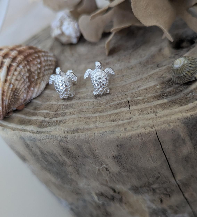 Sea turtles studs