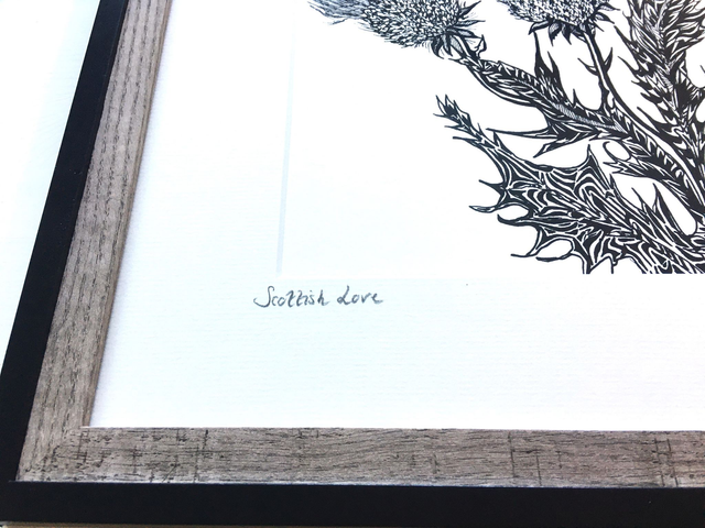 "Scottish Love" Monochrome Thistle Ink sketched framed Fine Art Giclee Print