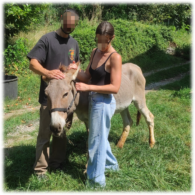 Love Box - Speciale San Valentino