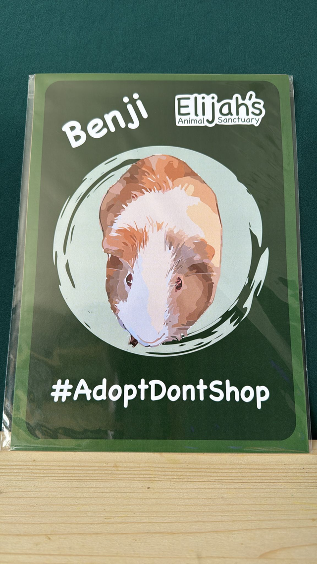 Benji Poster