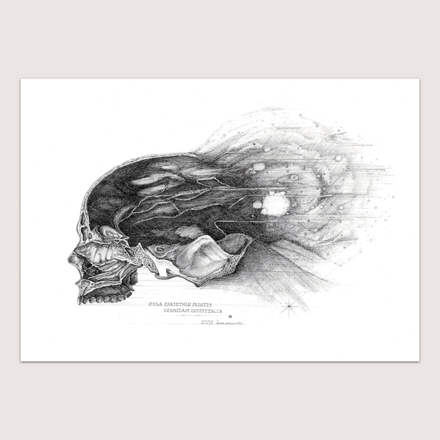 Ossa Pariétale Montis