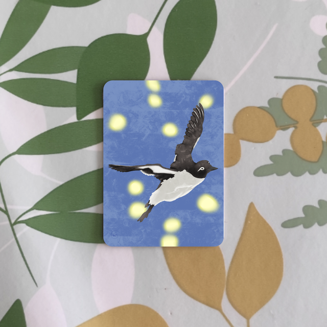 Oiseaux