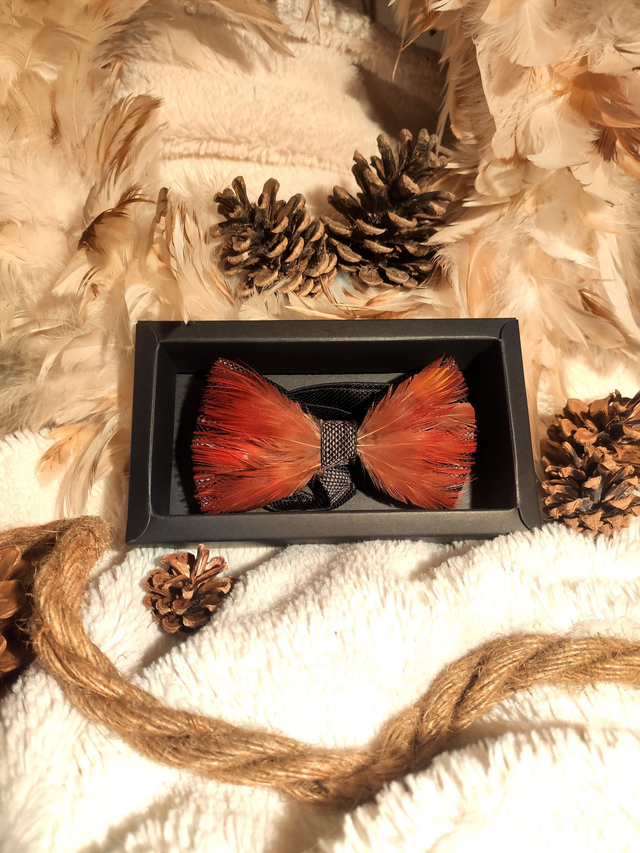 Noeud papillon Tissu et Plumes naturelles de Faisan doré rouge