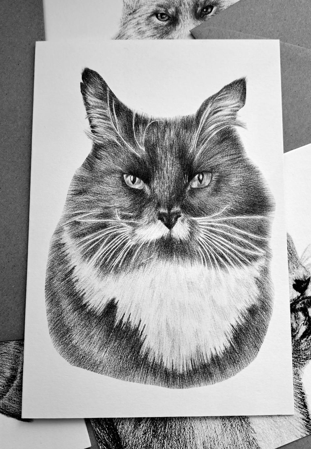 Black and White Cat Greetings Card
