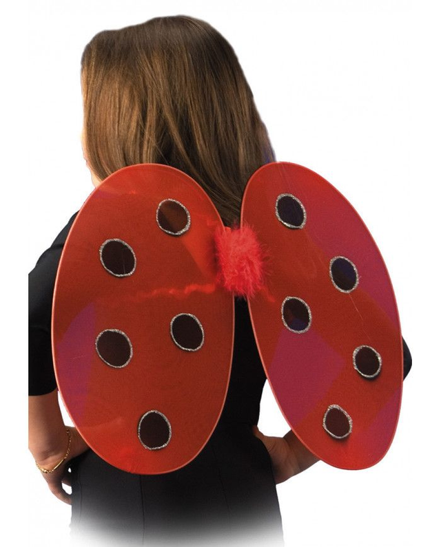 Ali coccinella h. cm. 30x40  con cavallotto