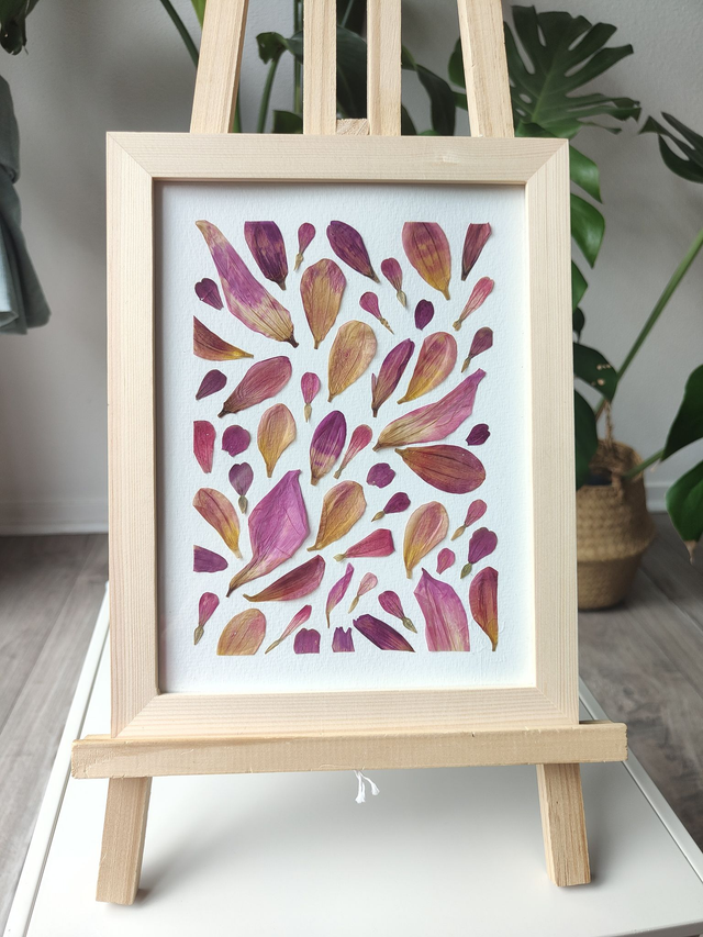 Herbier de fleurs pressées