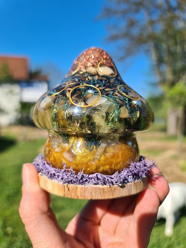 Maison champignon 🍄 Magie de la lavande