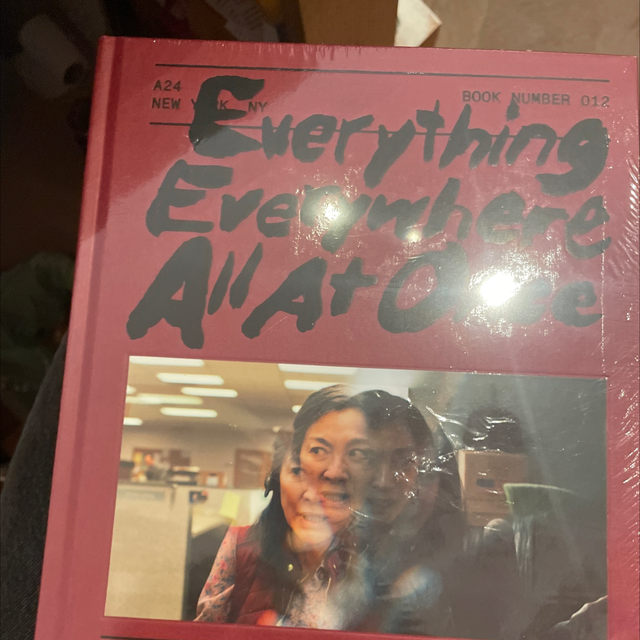 Everything Everywhere All At Once Daniels