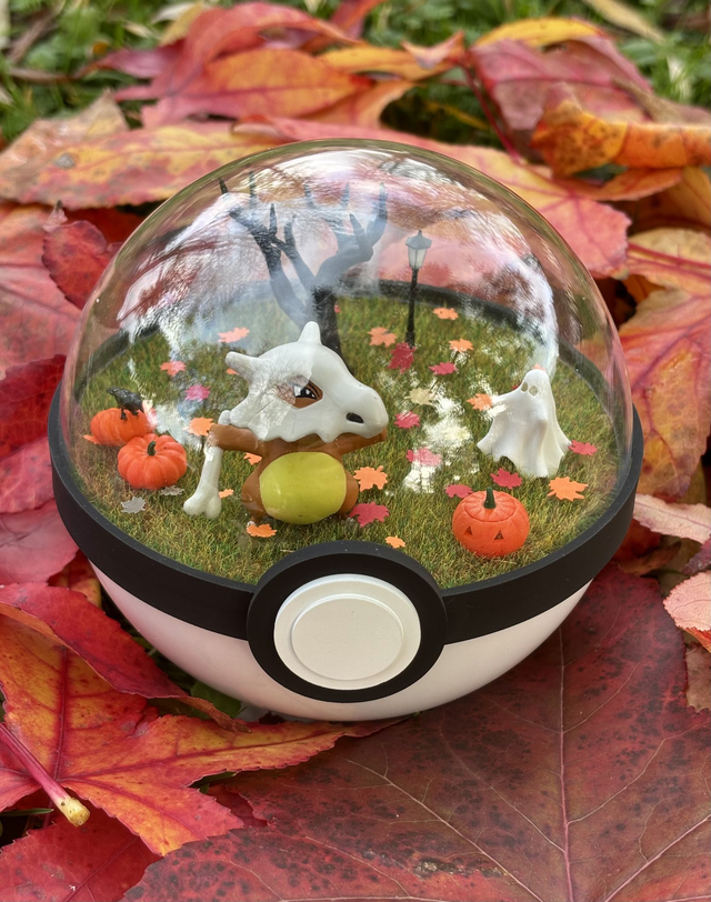 🎃 Terrarium Pokémon - Édition Halloween - Osselait