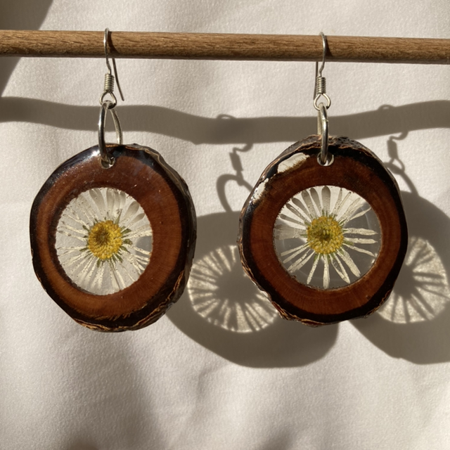 Daisy in Wonderland 