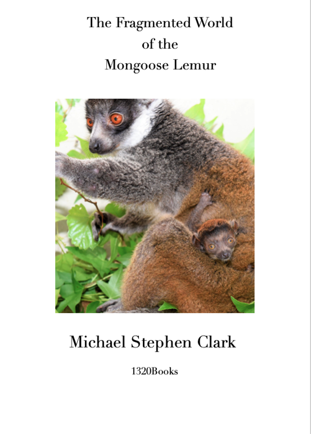 The Fragmented World of the Mongoose Lemur
