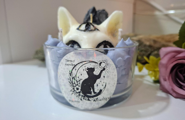 Gato místico vela 