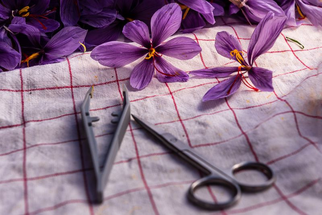 Chacun choisit son outil