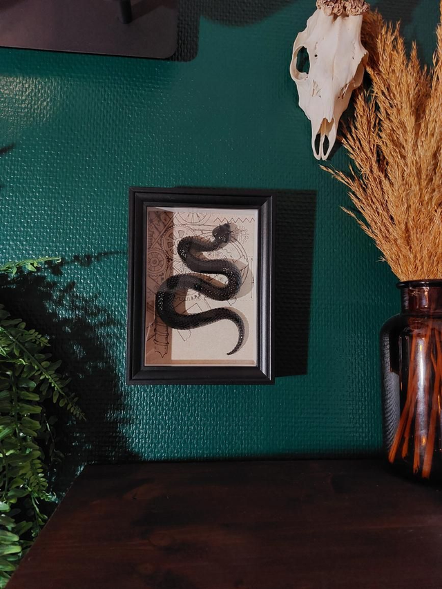 Cadre noir serpent steampunk 