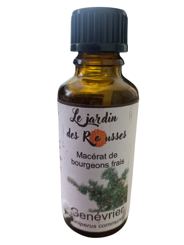 GENEVRIER - Macérât glycériné de bourgeons Flacon de 30 ml