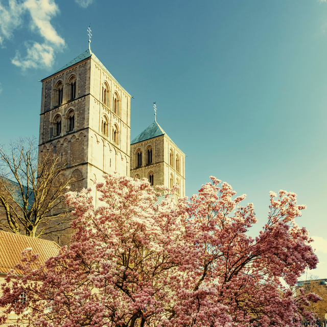 Dom mit Magnolie