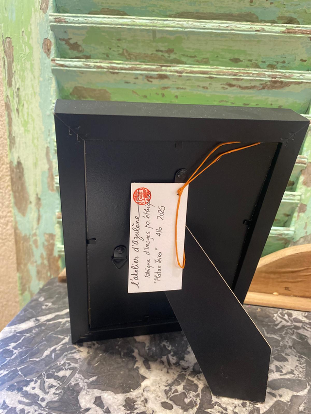 Platax teira - Tirage 4/6