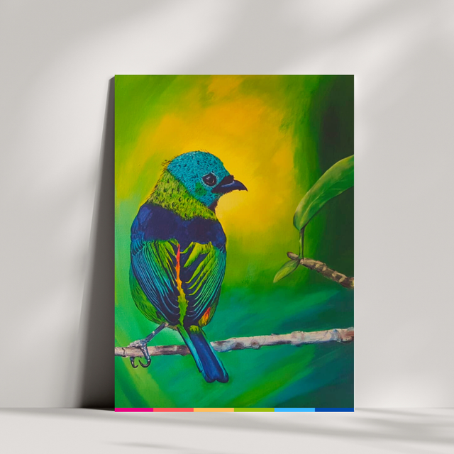 Vogel | Ansichtkaart A6