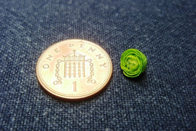Lettuce (1/24th scale)