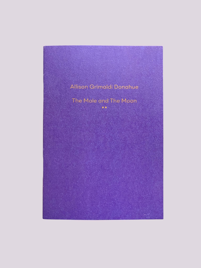 Allison Grimaldi Donahue - The Mole and The Moon