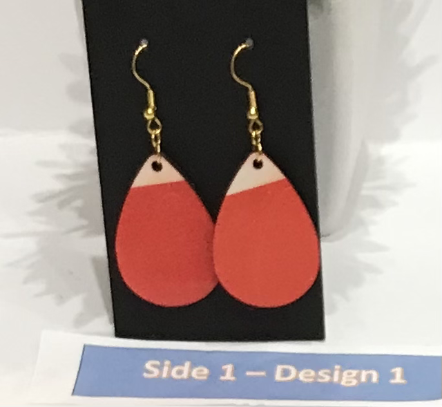 Two in One Mixed Colour Dangling Earrings- 2SD13