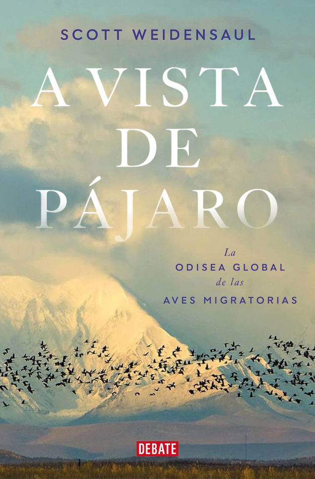 A vista de pájaro – Scott Weidensaul