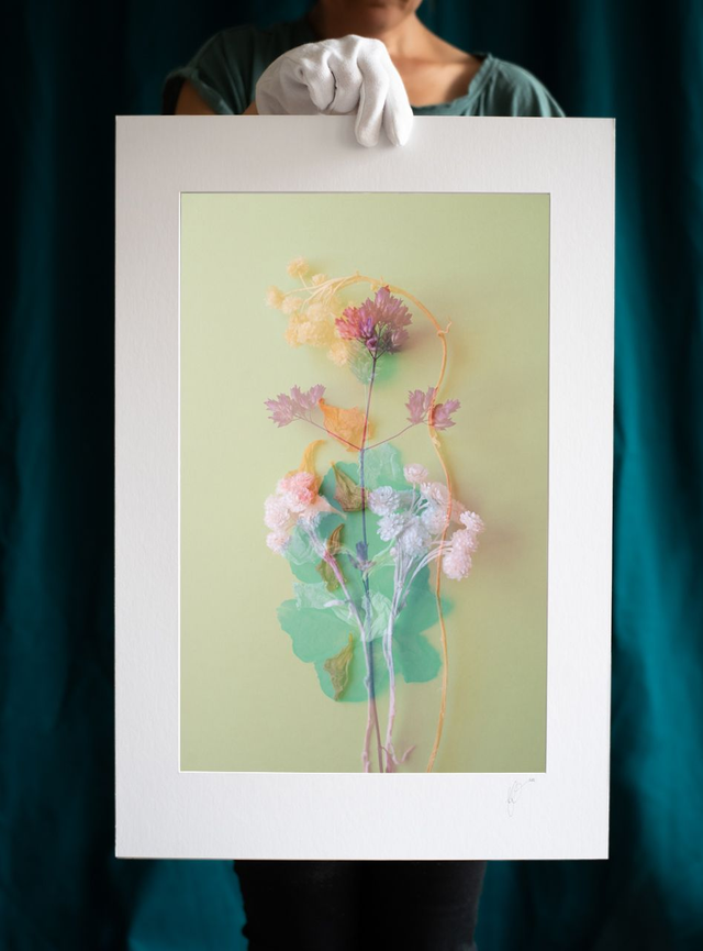 Fleurs éternelles - 7