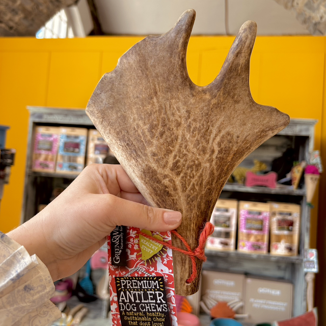 Green & Wild's Fallow Antler Chew - Large 151 - 220g