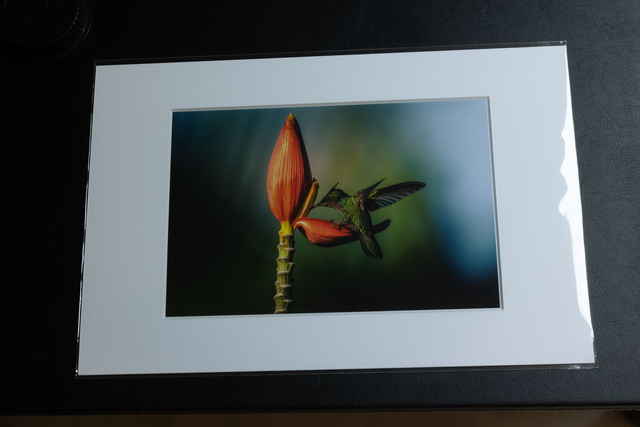 Tirage illimité Ambre avec passe-partout