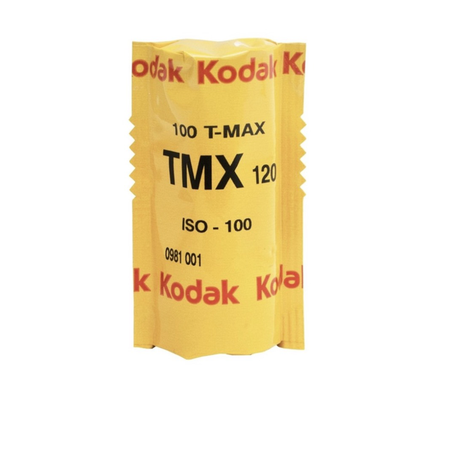 Kodak T-Max 100