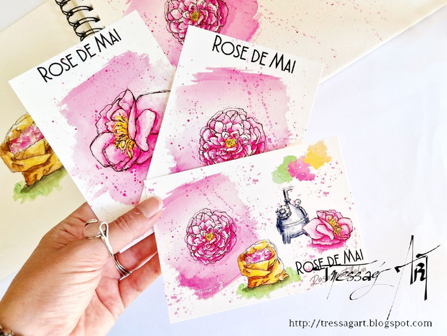 LOT 3 CARTES &quot;PLANTES A PARFUM&quot; de Grasse - Rosa centifolia - Rose de Mai - TR025005