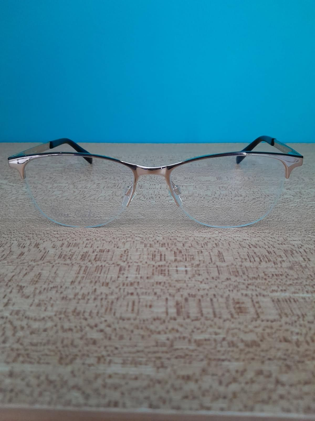 Monture Pierre Cardin