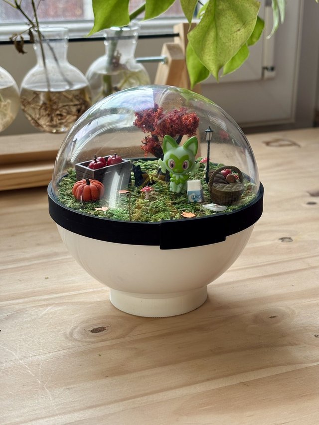 🍂 Terrarium Pokémon - Édition Automne - Poussacha