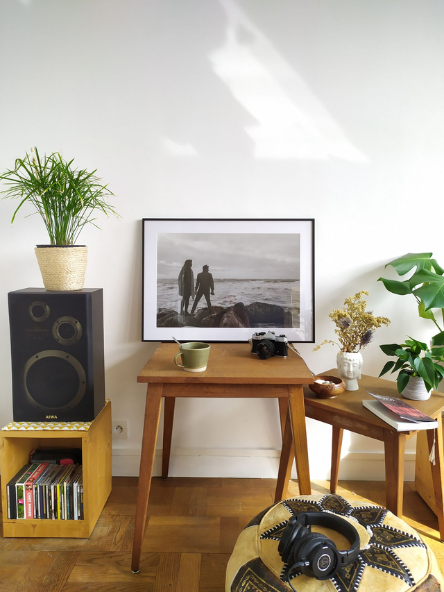 « Protée et Brizo »