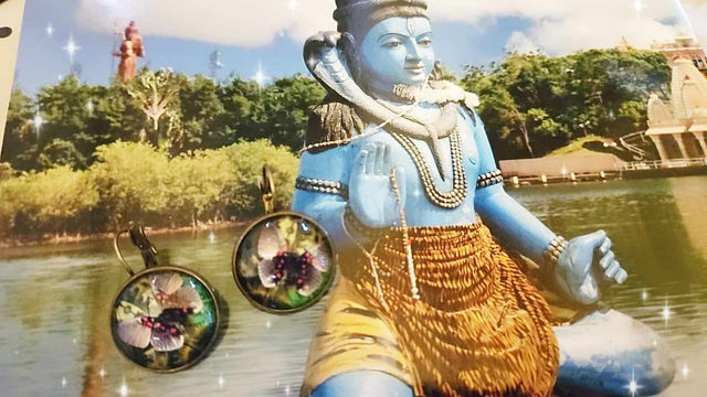 Boucles d&#039;oreilles dormeuses &quot; papillon Noir &quot;