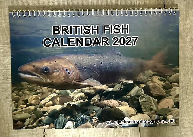 A4 Fish Calendar 2027