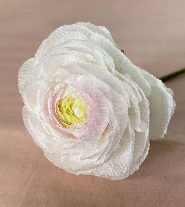 Renoncule "Enaé" avec son vase artisanal offert