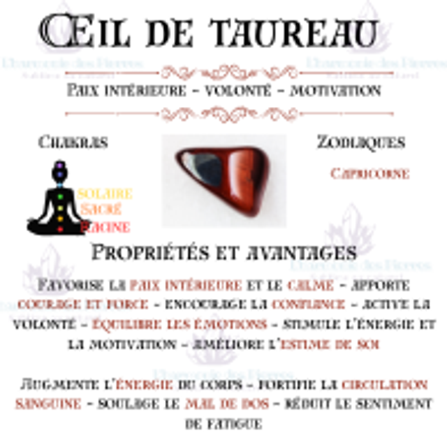 Bracelet Œil de Taureau 8mm " Force "