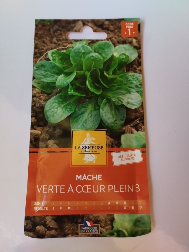 Mâche verte a cœur plein 3