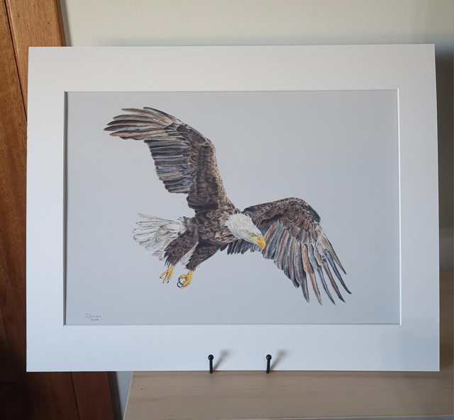 Eagle Original Drawing