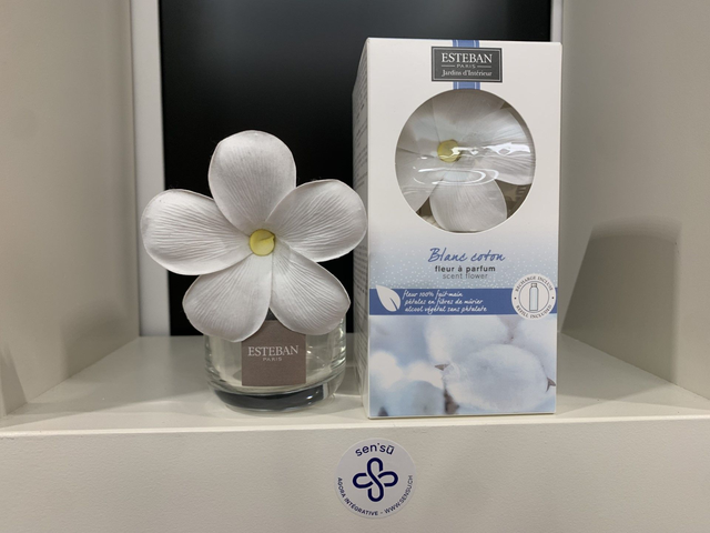 ESTEB FLEUR A PARFUM + RECH 75ML BLANC COTON