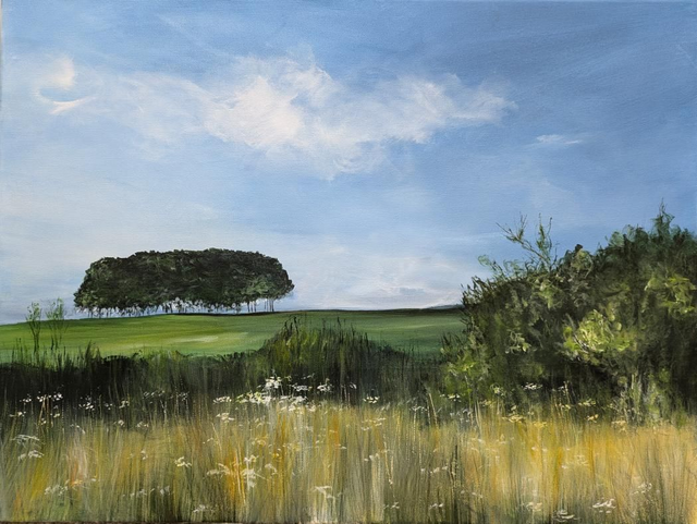 The nearly there trees, Devon 