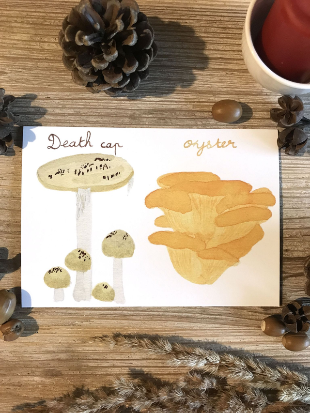 Carte postale death cap