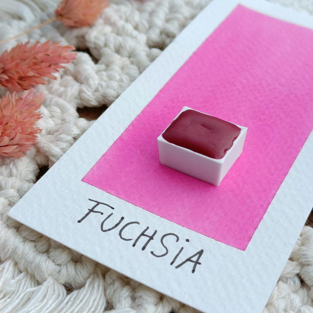 Fuchsia