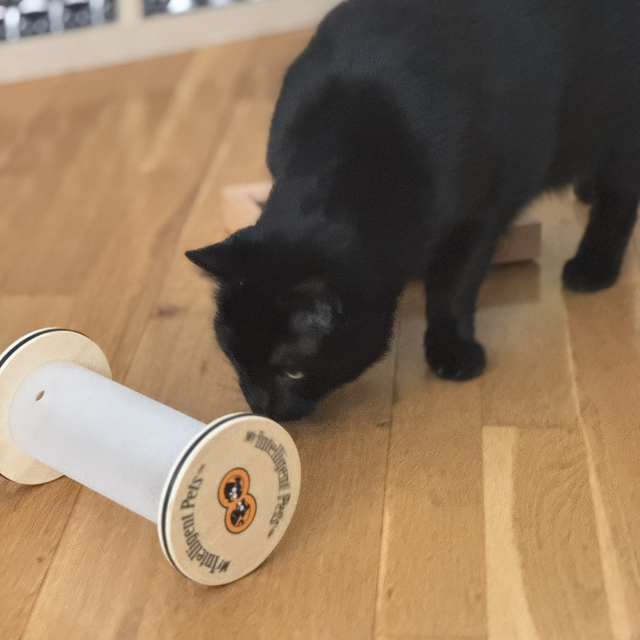 Happy Roll par My Intelligent Dogs 