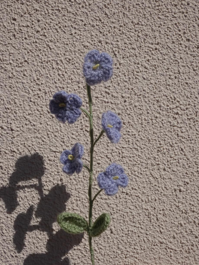 Tige de myosotis violette 