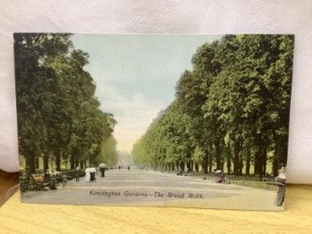Kensington Gardens - The Broad Walk, London, published by Henry Brown Vintage Postcard Our Ref A48 £2.50