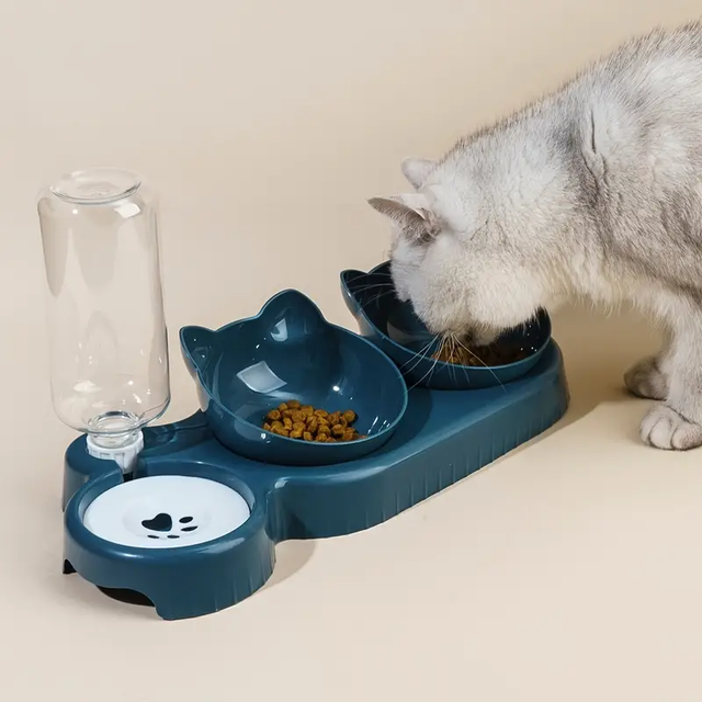 3-In-1 Cat Food And Water Bowl Set
