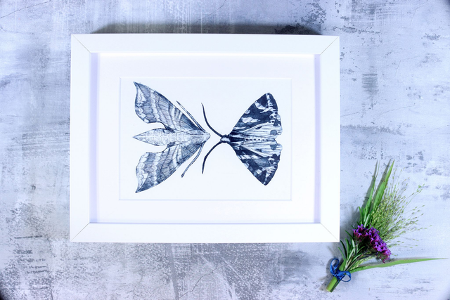 Drypoint Print: Jersey Tiger Moth &amp; Pluto Sphinx Moth