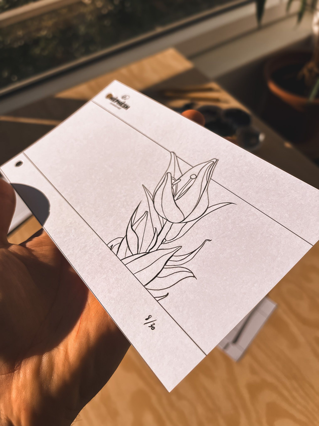 Coloriage Flipbook fait à la main- L'abeille et le Lys